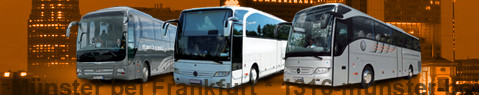 Coach (Autobus) Münster bei Frankfurt | hire | Limousine Center Deutschland